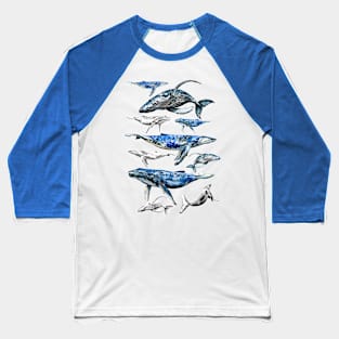 whales Baseball T-Shirt